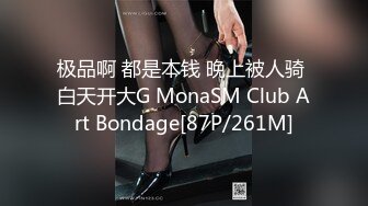 极品啊 都是本钱 晚上被人骑 白天开大G MonaSM Club Art Bondage[87P/261M]