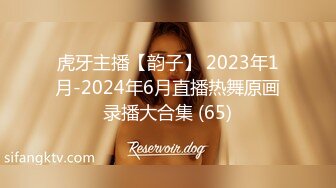 虎牙主播【韵子】 2023年1月-2024年6月直播热舞原画录播大合集 (65)