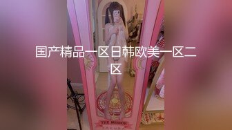 国产精品一区日韩欧美一区二区