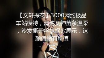 【文轩探花】3000网约极品车站模特，清纯女神苗条温柔，沙发撕开丝袜抠穴展示，这颜值物有所值