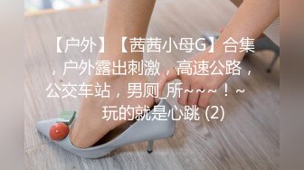 【户外】【茜茜小母G】合集，户外露出刺激，高速公路，公交车站，男厕_所~~~！~✨✨✨玩的就是心跳 (2)