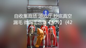 自收集商场 游戏厅 抄底真空漏毛 微漏毛合集【50v】 (42)