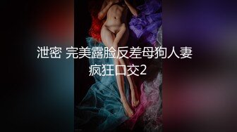 泄密 完美露脸反差母狗人妻  疯狂口交2