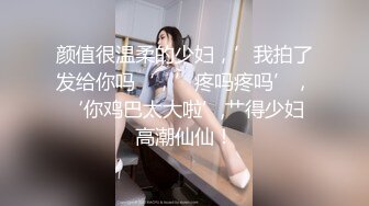 颜值很温柔的少妇，’我拍了发给你吗‘，’疼吗疼吗’，‘你鸡巴太大啦’,艹得少妇高潮仙仙！