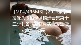 [MP4/496MB]【2020家庭摄像头偷拍录像精选合集第十三季】各式家庭真实性爱生活写实