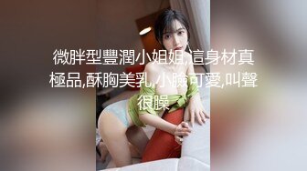 微胖型豐潤小姐姐,這身材真極品,酥胸美乳,小臉可愛,叫聲很臊