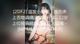 [2DF2] 蓝发小姐姐，按在床上舌吻调情洗完澡开操，口交上位骑乘翘起屁股后入猛操 - [MP4/114MB][BT种子]