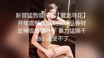 新晋猛男级探花【爱龙寻花】开年震撼首操 约操极品身材女神级车模叶子 暴力猛操干到小逼受不了