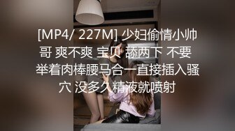 [MP4/ 227M] 少妇偷情小帅哥 爽不爽 宝贝 舔两下 不要 举着肉棒腰马合一直接插入骚穴 没多久精液就喷射