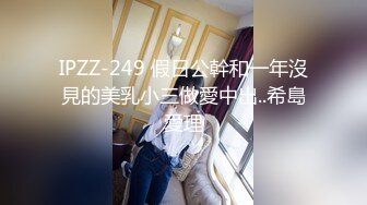 IPZZ-249 假日公幹和一年沒見的美乳小三做愛中出..希島愛理