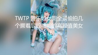 TWTP 游乐场女厕全景偷拍几个撅着屁股嘘嘘的高颜值美女3 (6)