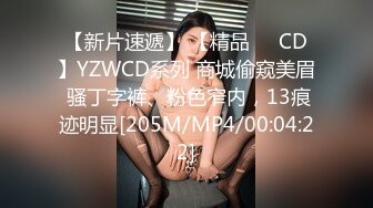 【新片速遞】 【精品❤️CD】YZWCD系列 商城偷窥美眉 骚丁字裤、粉色窄内，13痕迹明显[205M/MP4/00:04:22]